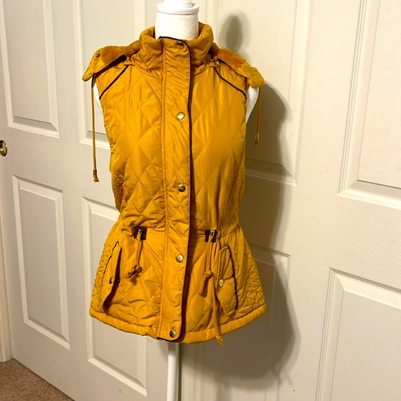 Love Tree Jackets & Blazers - Ladies, puffy vest